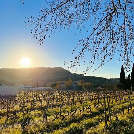 N57 Piscine Petanque Tennis Acces Apartment